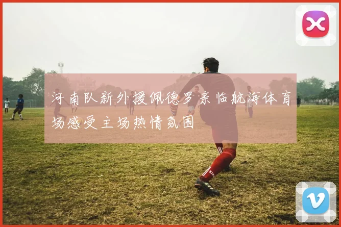 河南队新外援佩德罗亲临航海体育场感受主场热情氛围